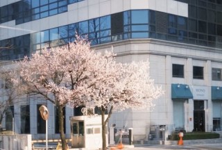 magellim (1)