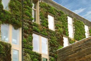 immobilier-durable-environnement-ecologie